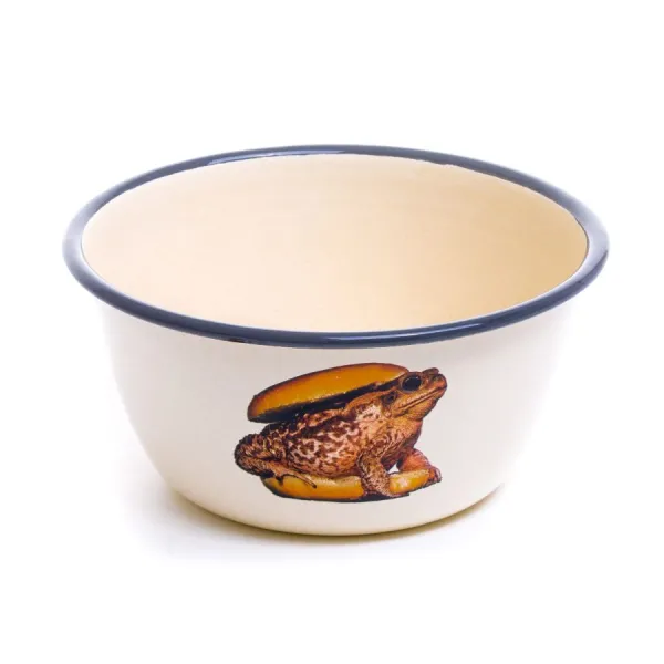 TOAD BOWL -SELETTI